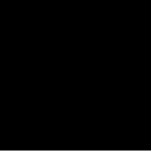 Nia Pilates logo