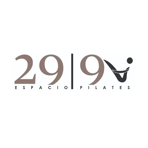 29.9 Espacio logo
