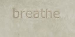 The Place - yoga pilates-mat